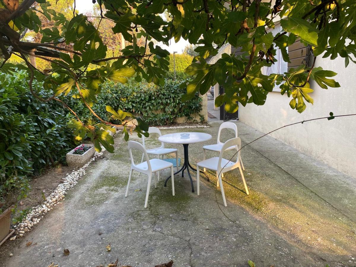 B&B Le Rose Villafranca Padovana エクステリア 写真